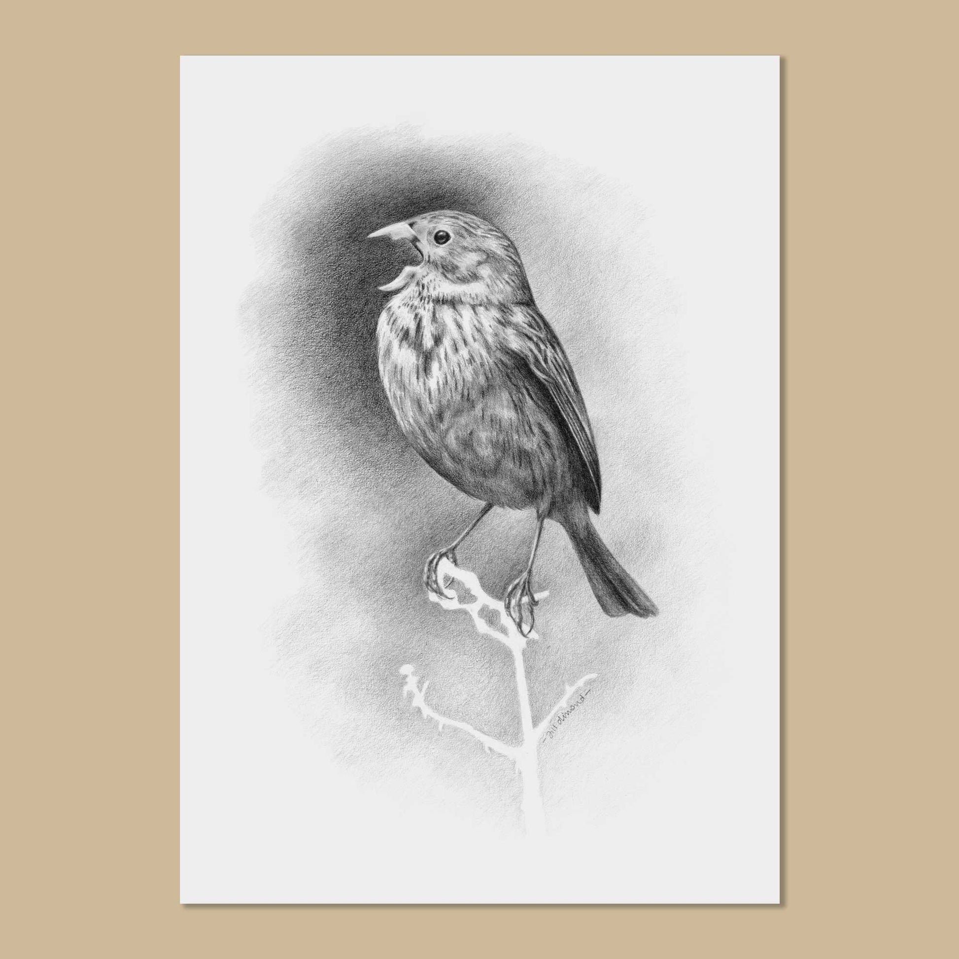 Black and white drawing on white paper of a small bird singing