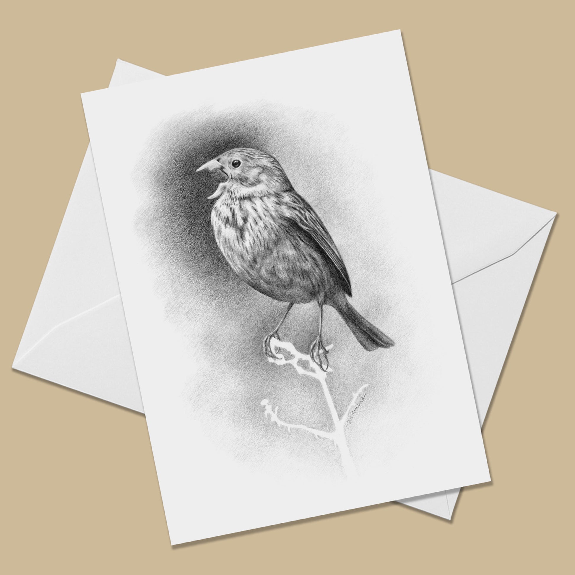A white card with the image of a pencil drawing of a small bird singing.  The card is flat on a white enveloped