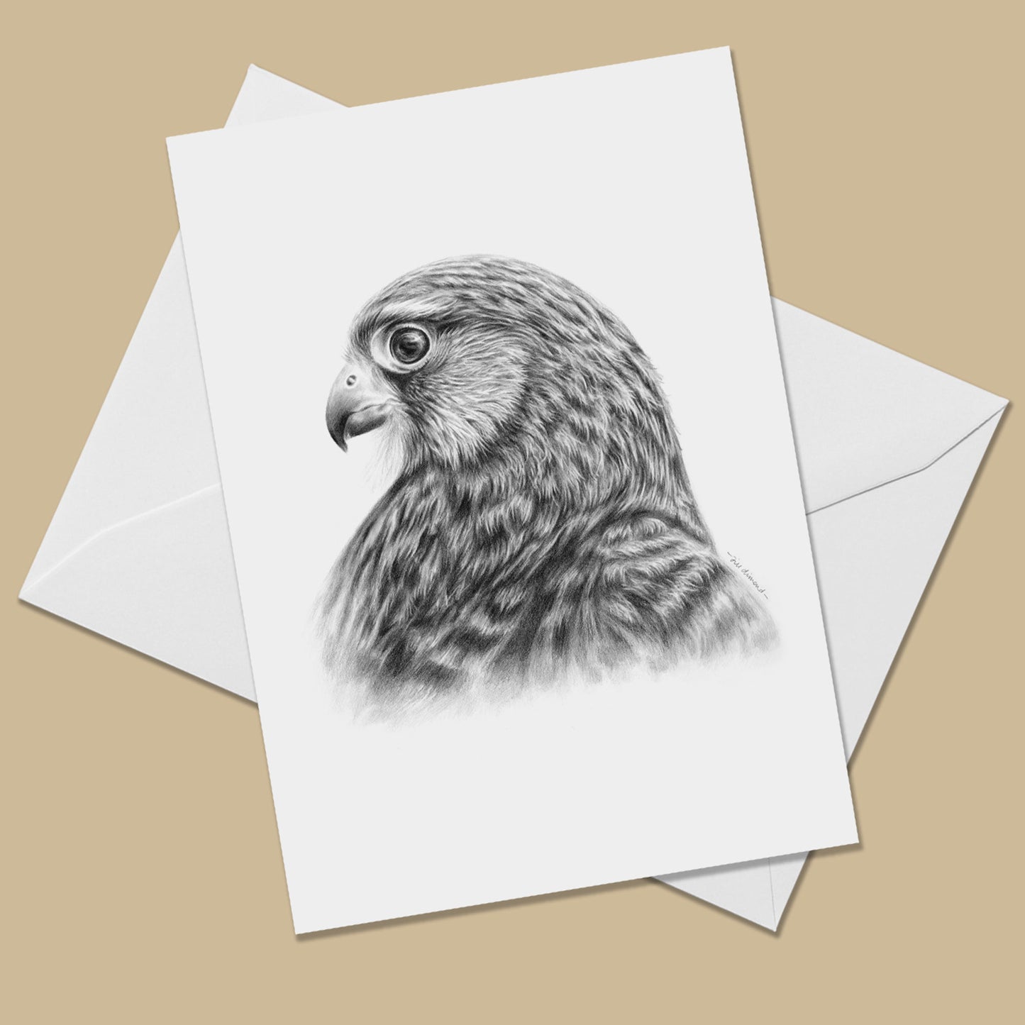 White greeting card with the image of a black and white drawing of a female common kestrel head and shoulders. The card is on a white envelope.