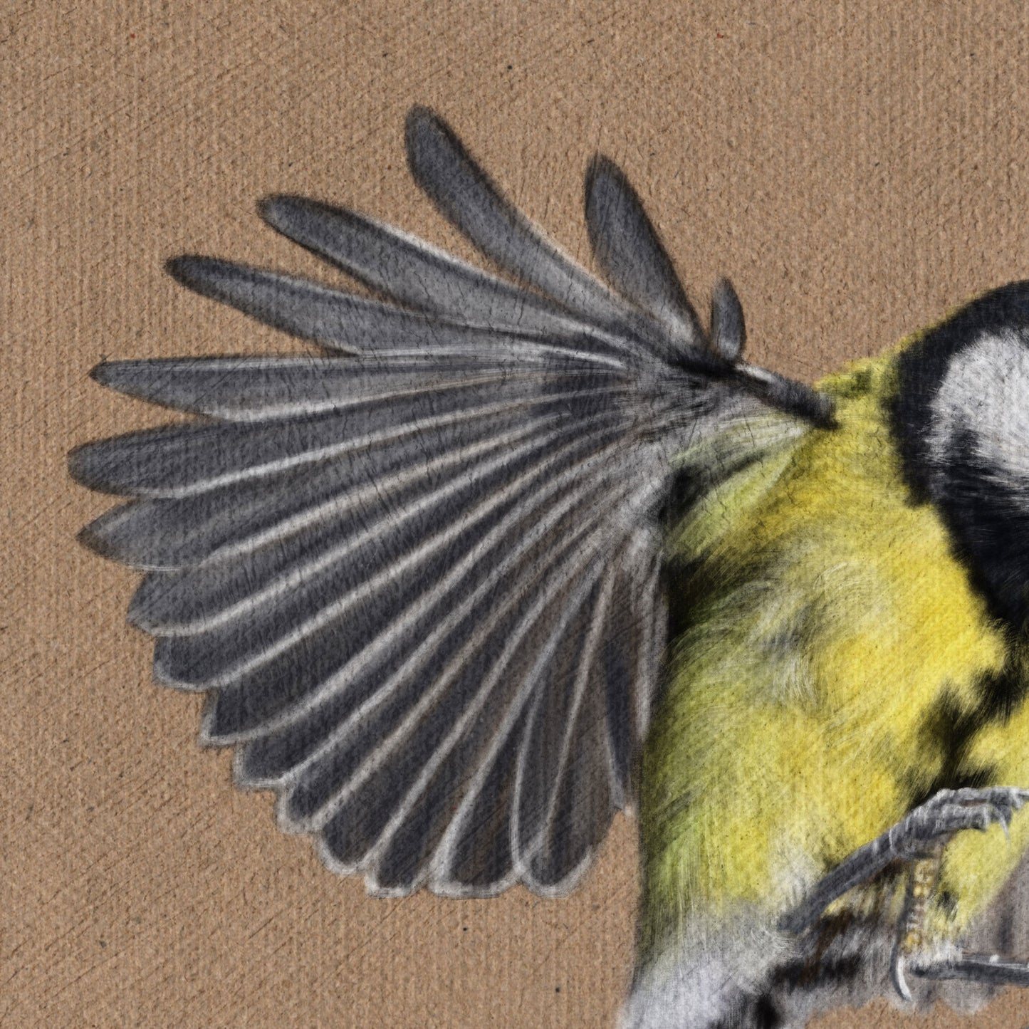 Flying Great Tit Art Prints (Parus Major)