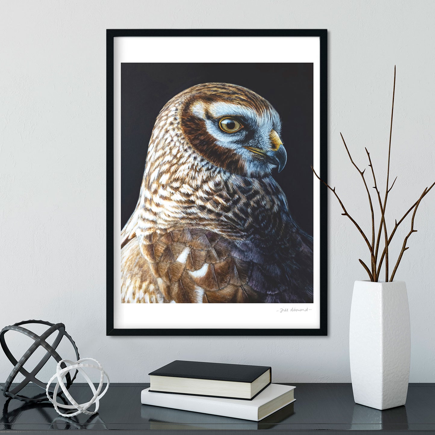 Female Hen Harrier Art Prints - Bird of Prey Art by Jill Dimond