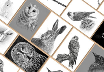 custom-slideshow-image-mobile-block_JPFNzi