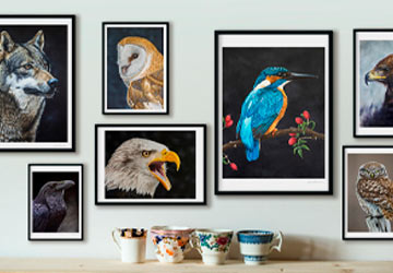 custom-slideshow-image-mobile-block_w8pmiV