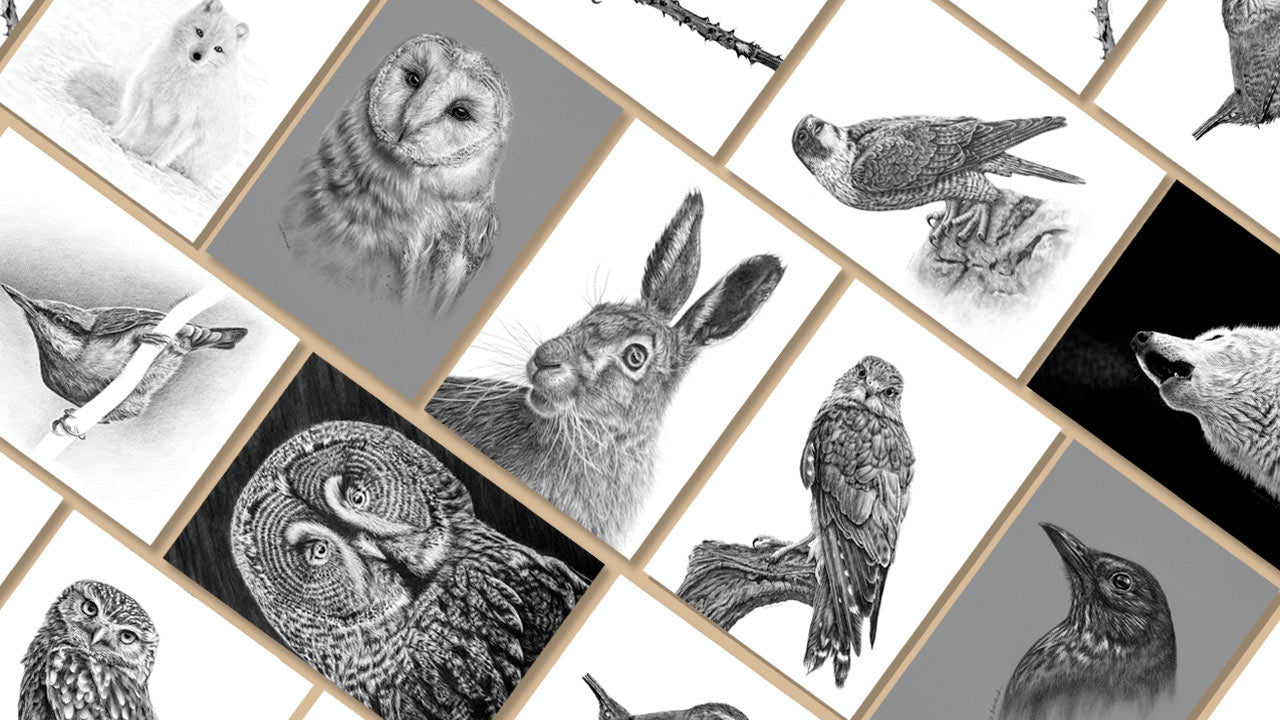 custom-slideshow-image-desktop-block_JPFNzi