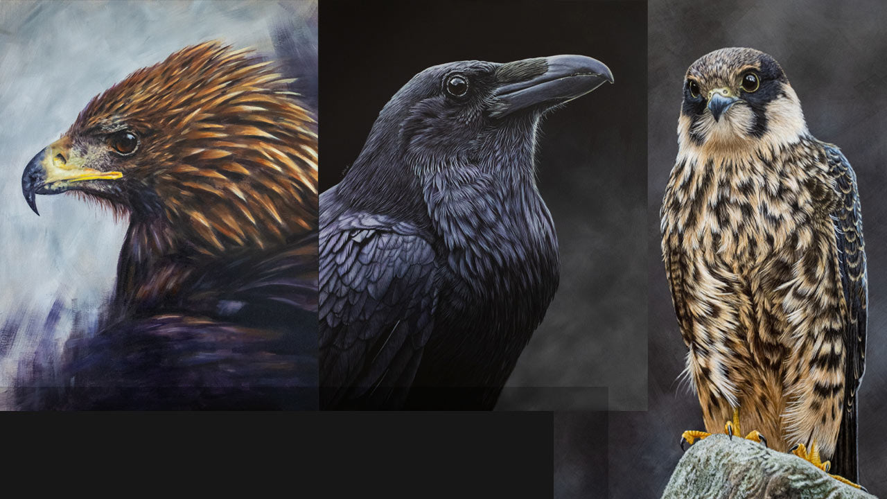 custom-slideshow-image-desktop-block_wGzxWh