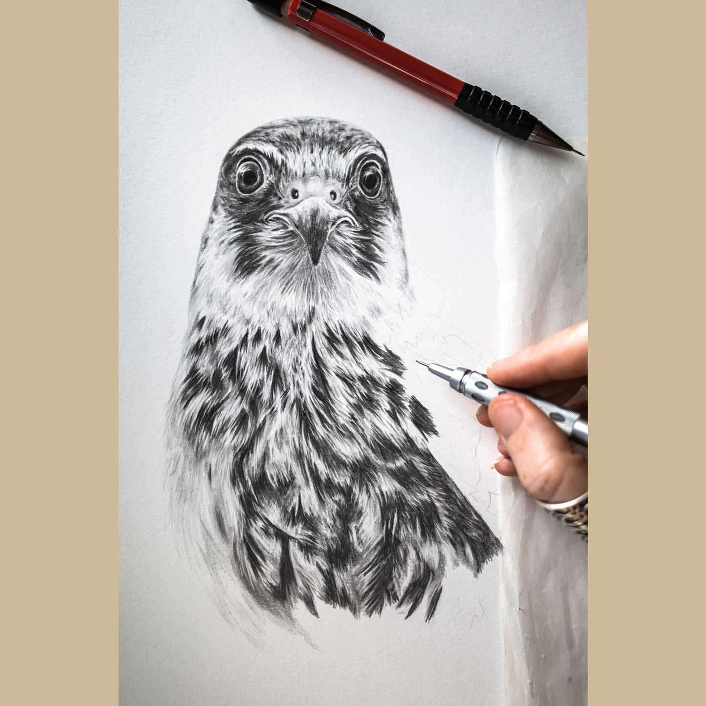 Image of a hand holding a pencil over the part-compelte drawing of a Eurasian hobby on white paper