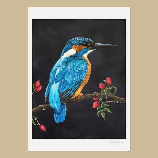 White art print with the image of a colourful painting of a male common kingfisher bird facing to the right, sat on a branch with rose hips.  The painting has a black background.