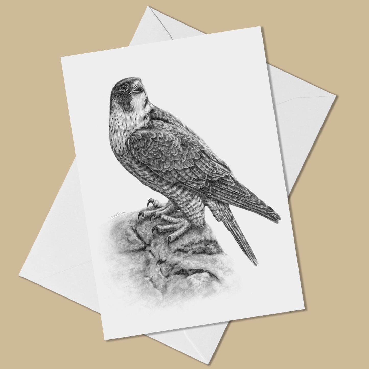 Image of a peregrine falcon drawn in pencil facing to the right of a white greeting card on top of a white envelope