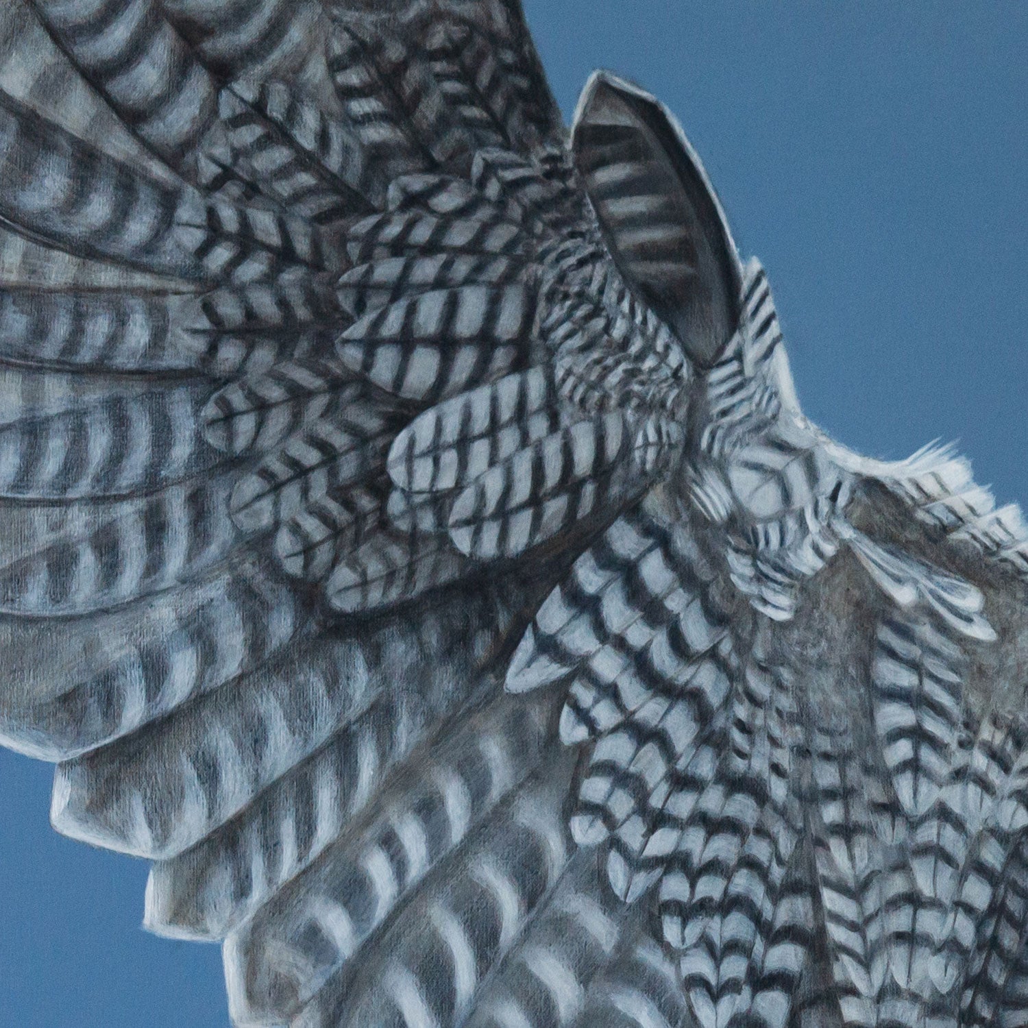 Close up of a wing on a peregrine falcon painting