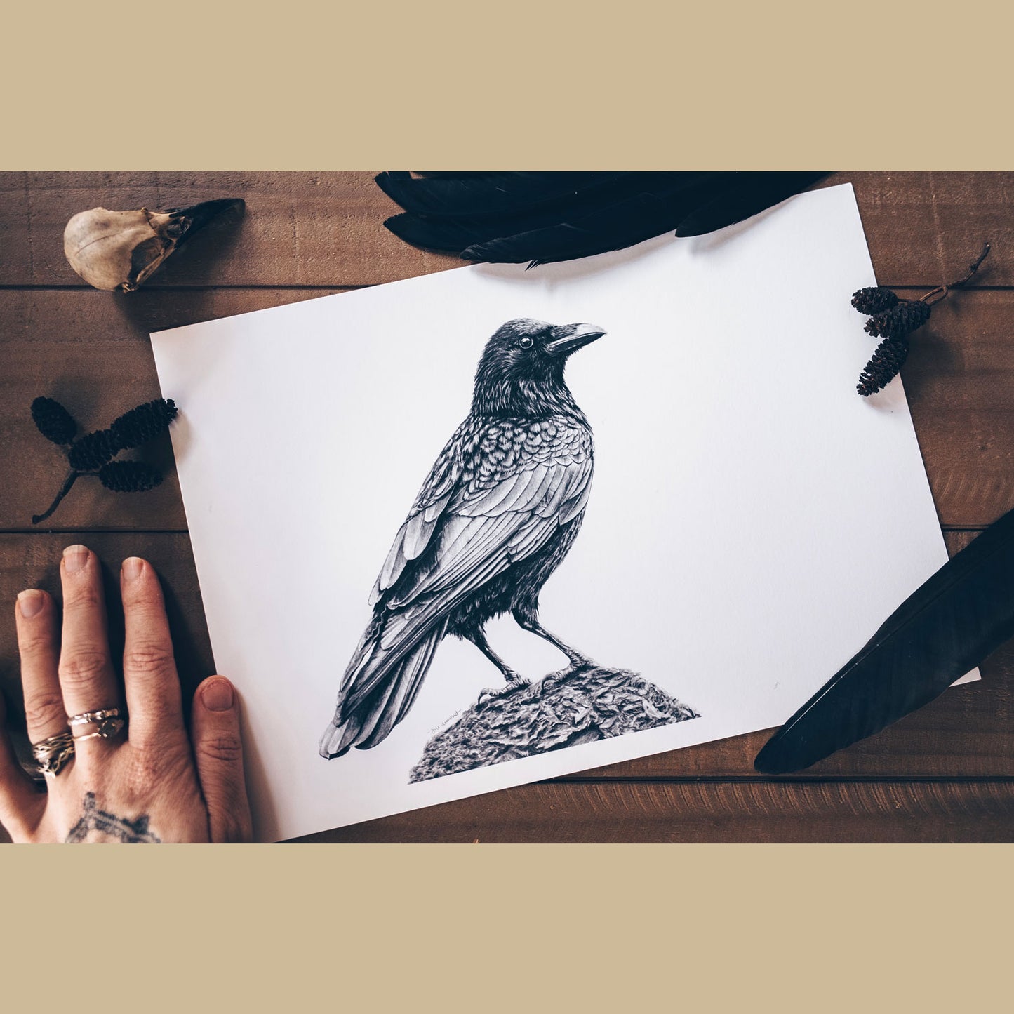 Crow Art Prints (Corvus Corone)