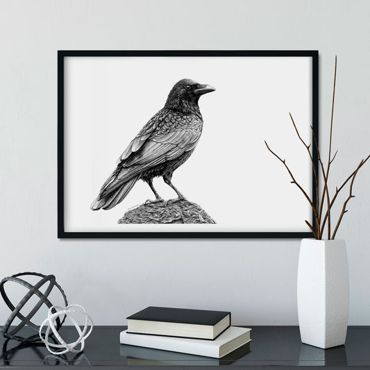 Crow Art Prints (Corvus Corone)