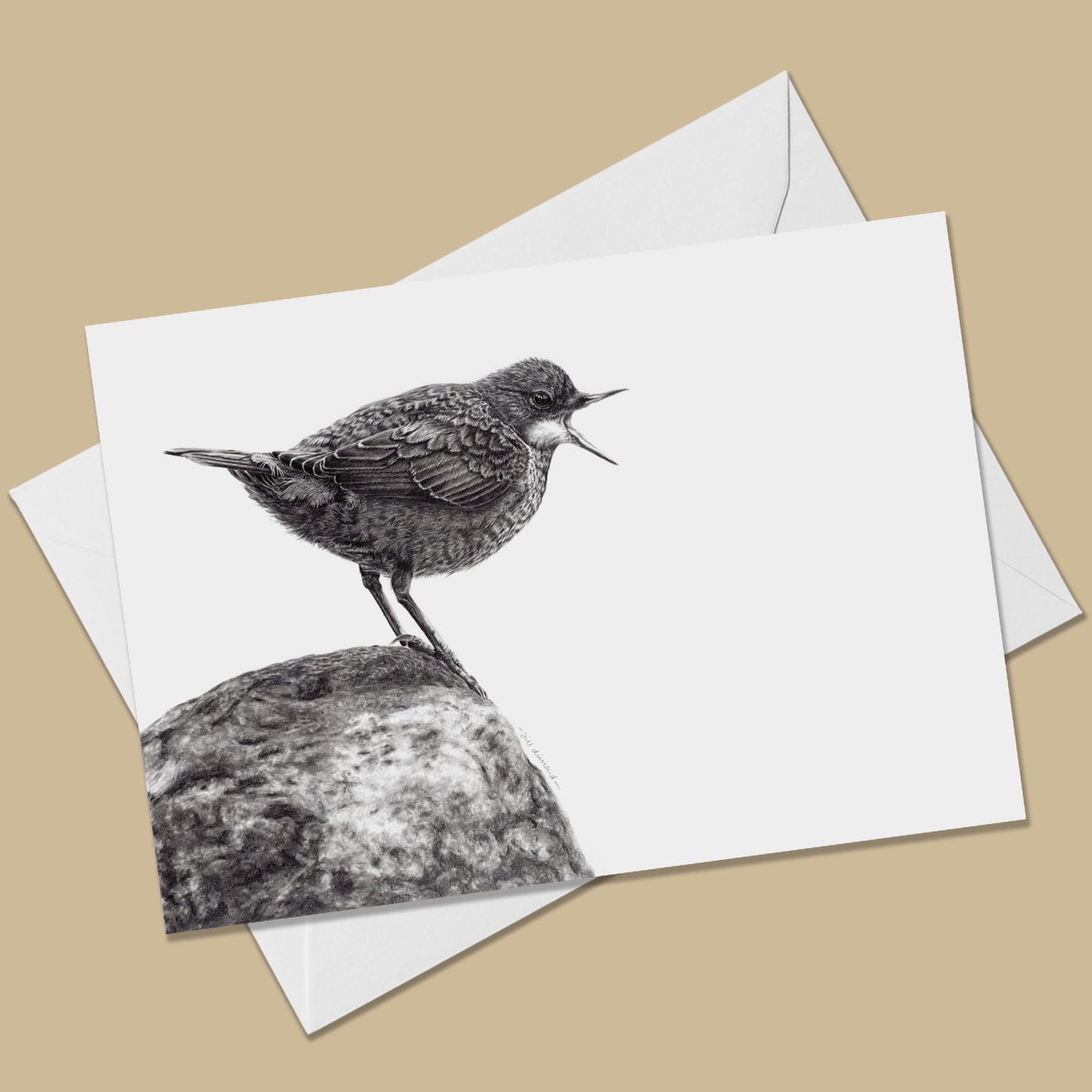 Dipper Greeting Card - The Thriving Wild