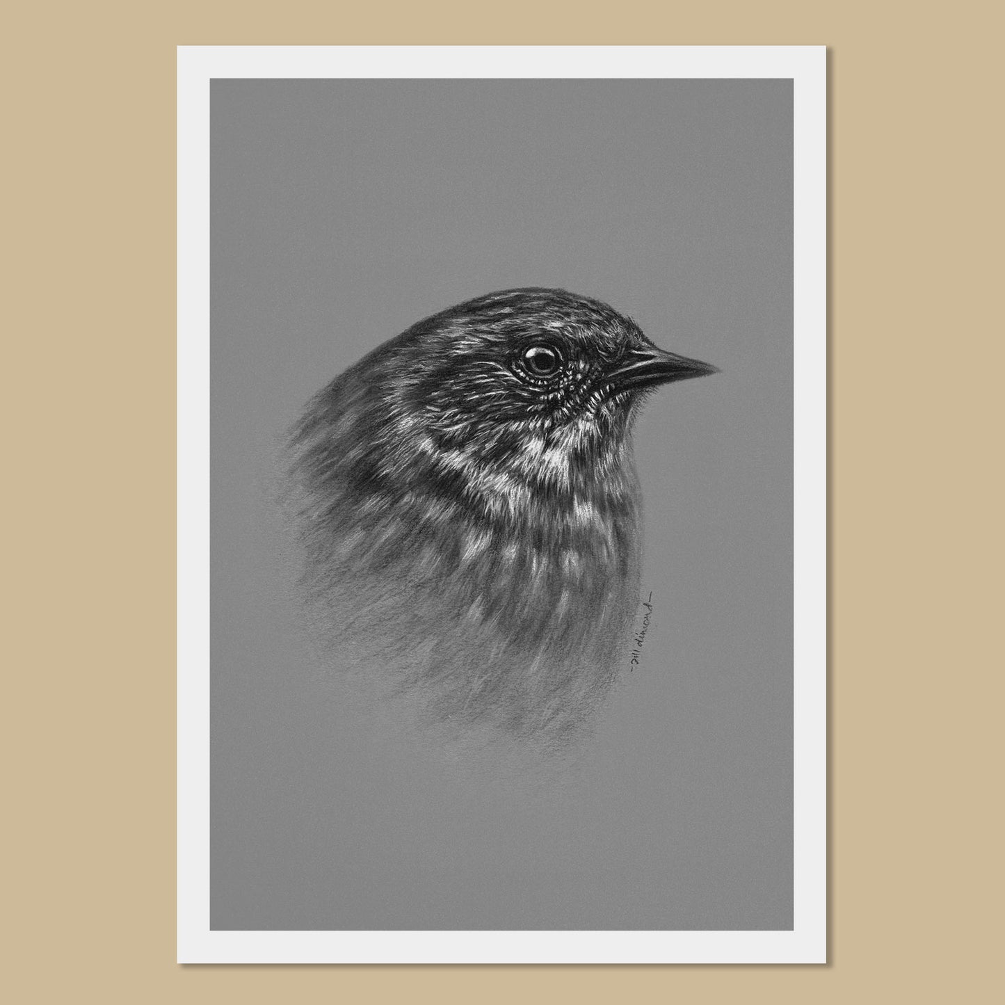 Dunnock Art Prints - The Thriving Wild - Jill Dimond