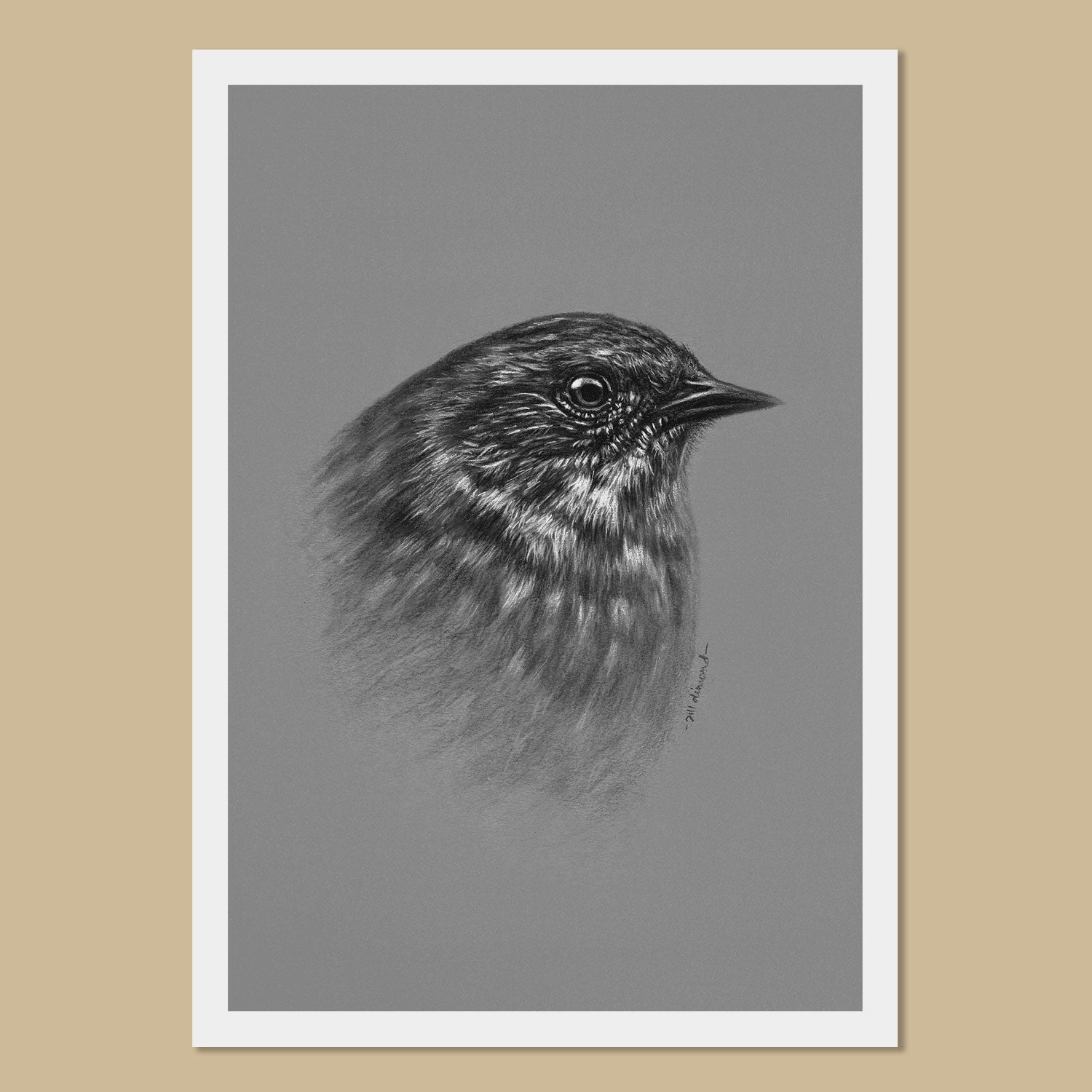 Dunnock Art Prints - The Thriving Wild - Jill Dimond