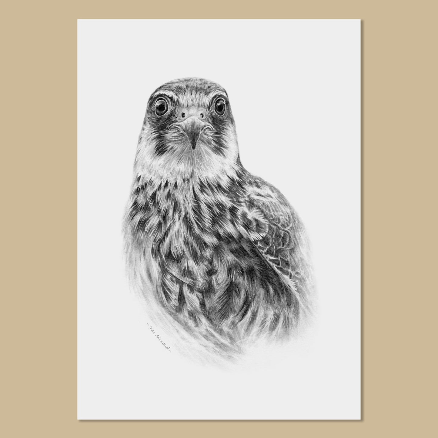 Hobby Art Prints - The Thriving Wild