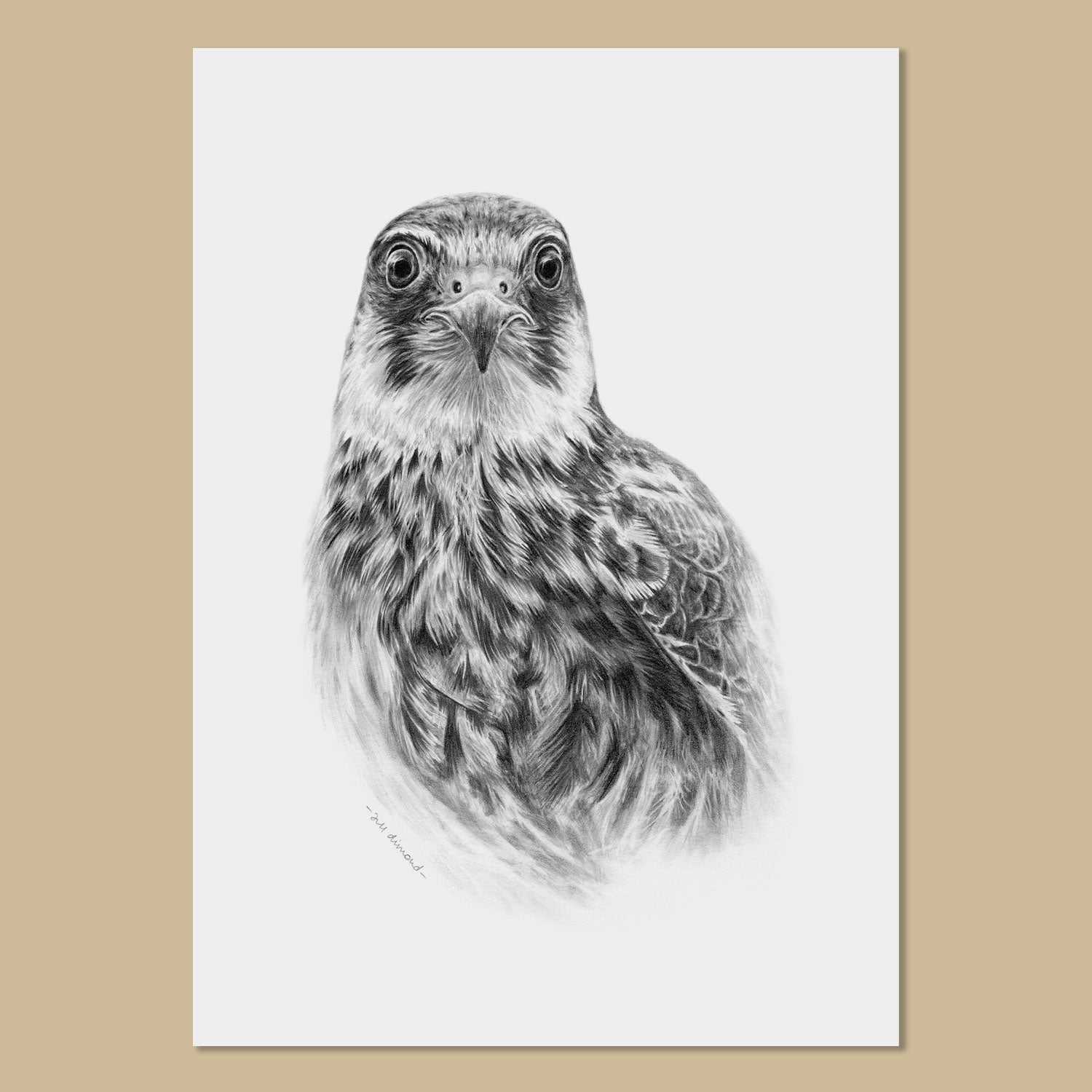 Hobby Art Prints - The Thriving Wild