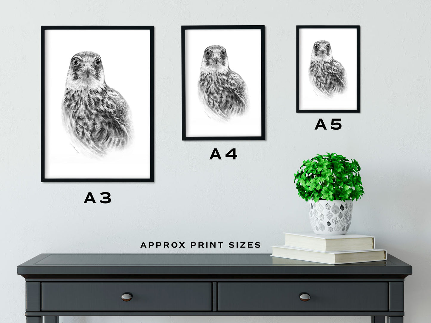 Hobby Print Size Comparison - The Thriving Wild