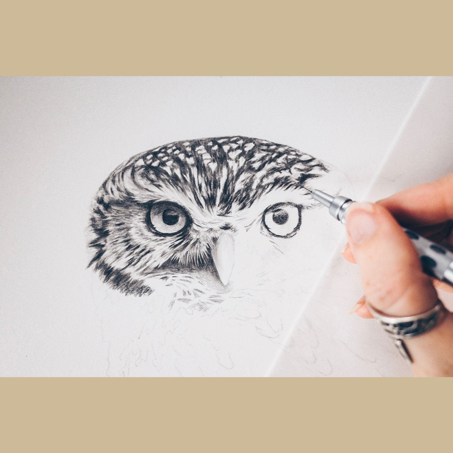 Little Owl Face Drawing Pencil - The Thriving Wild Jill Dimond