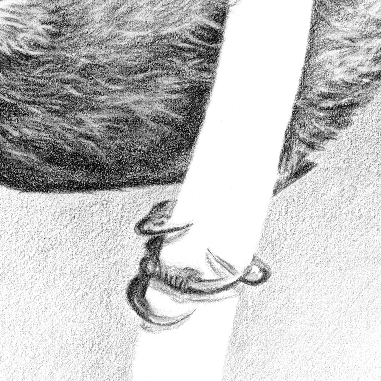 Nuthatch Drawing Close-up 2 - The Thriving Wild