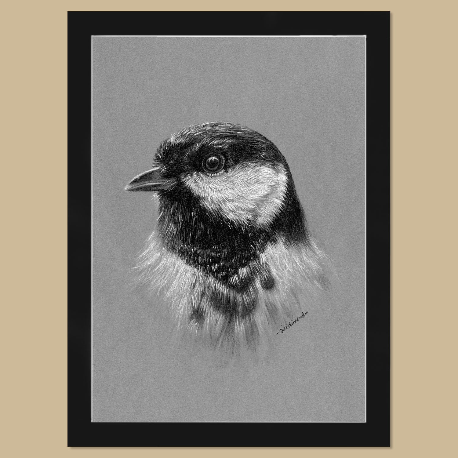 Original Great Tit Charcoal Drawing - The Thriving Wild