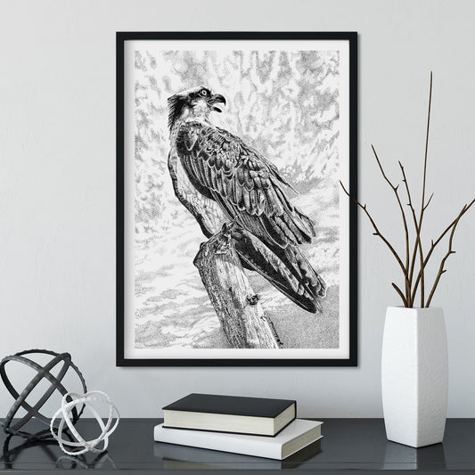 Osprey Wall Art Framed - The Thriving Wild
