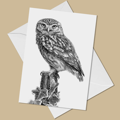 Little Owl Greeting Card - The Thriving Wild