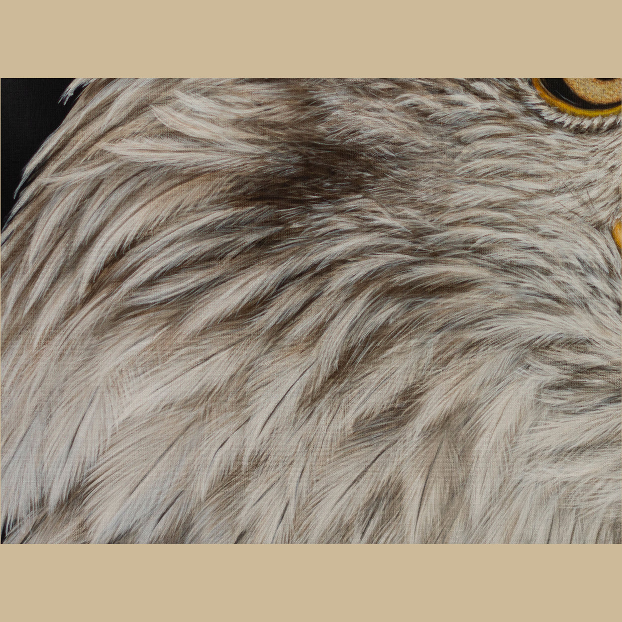 Close-up of a painting of a bald eagle face feathers