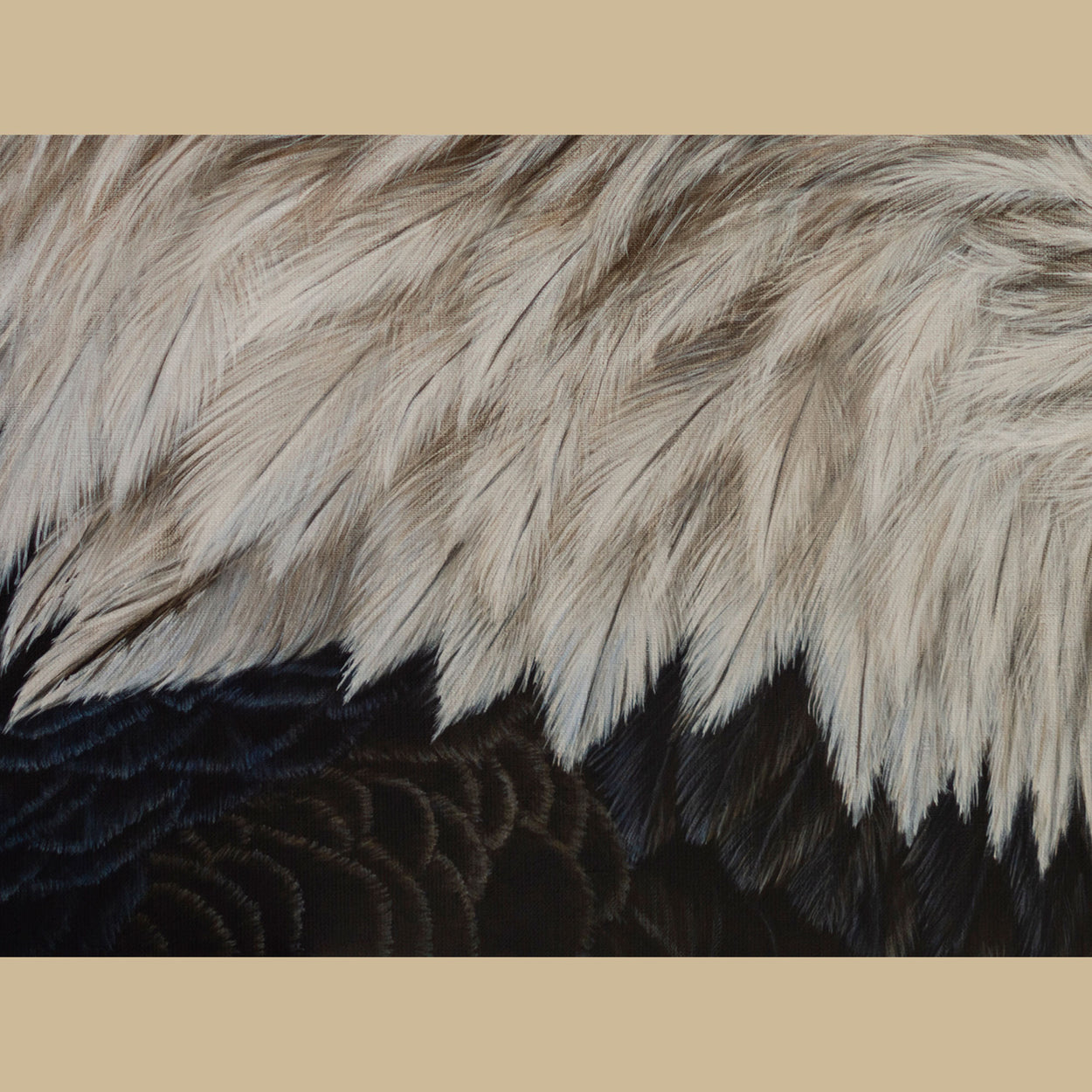 Close-up of a painting of bald eagle feathers