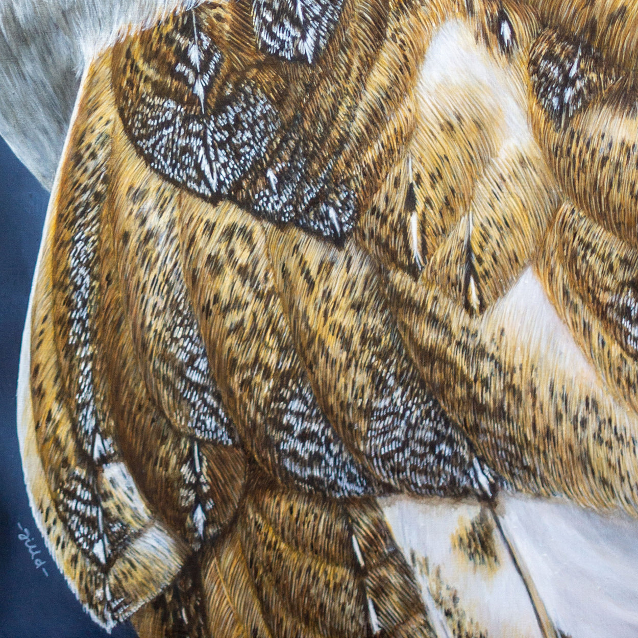 Barn Owl Portrait Painting Close-up 4 - Jill Dimond