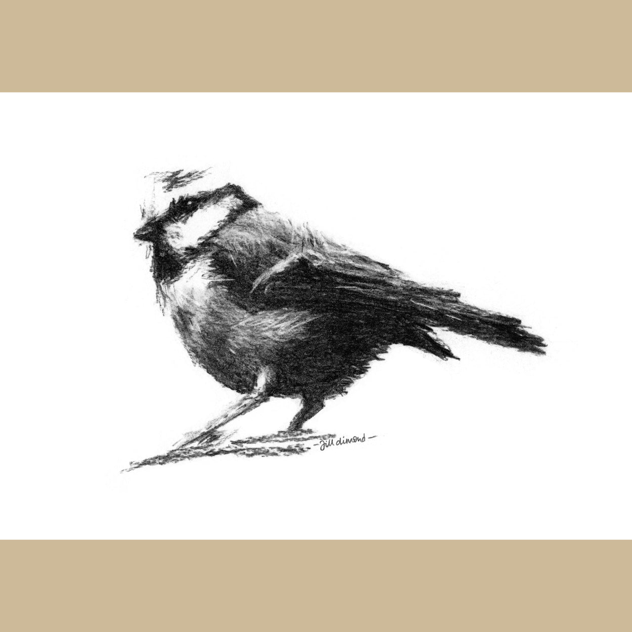 Black and white drawing of a cute little British garden bird