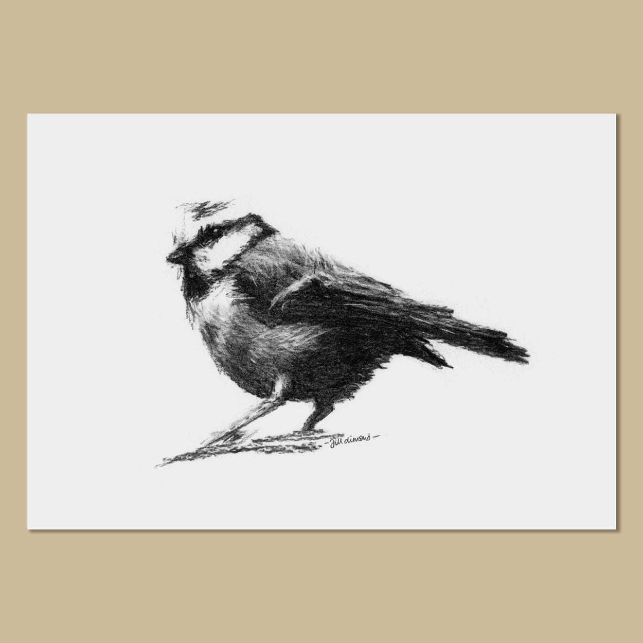 Black and white drawing of a small garden bird on white background