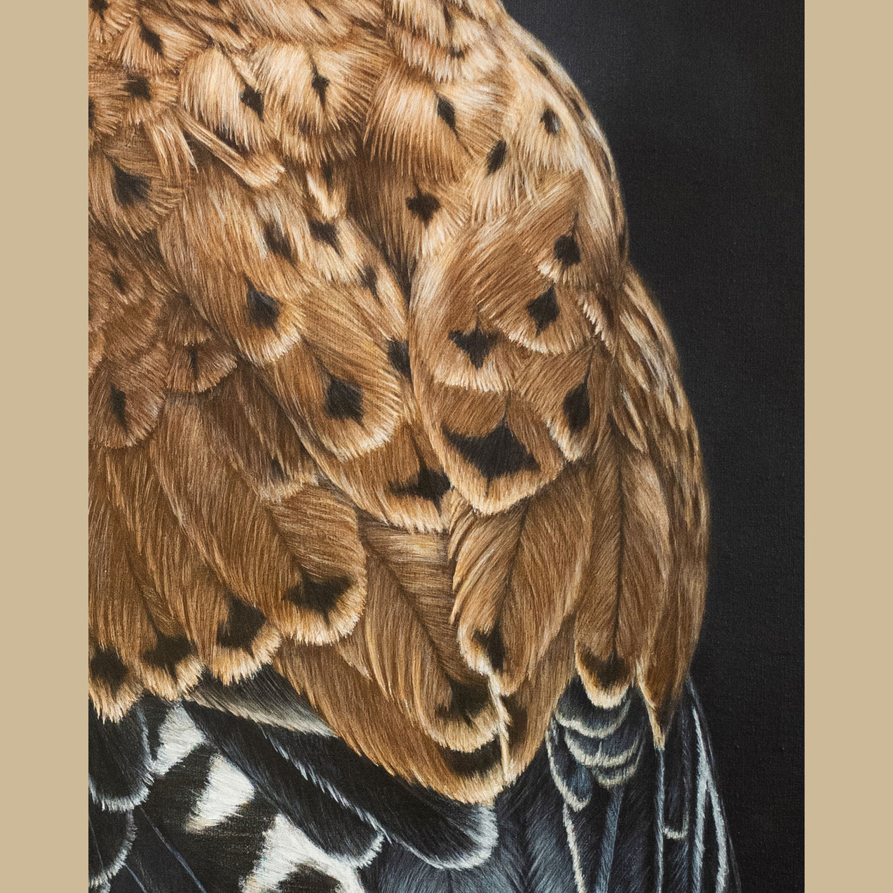 Close-up of the painting of male common kestrel feathers