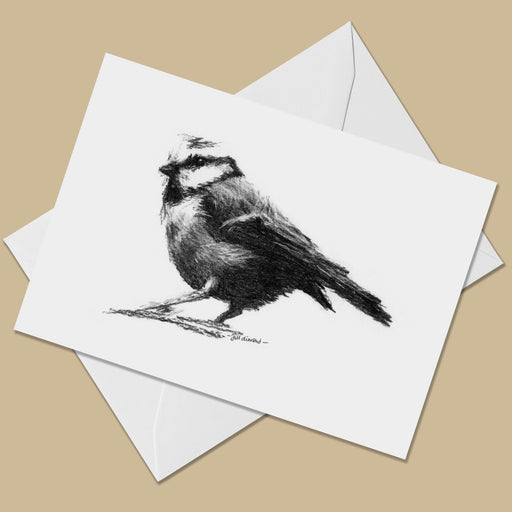 Greeting card with the black and white image of a drawing of a blue tit looking to the left. The card is on top of a white envelope.