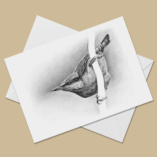 White greeting card with the image of a black and white drawing of a Eurasian nuthatch bird facing to the left.  The card is on top of a white envelope