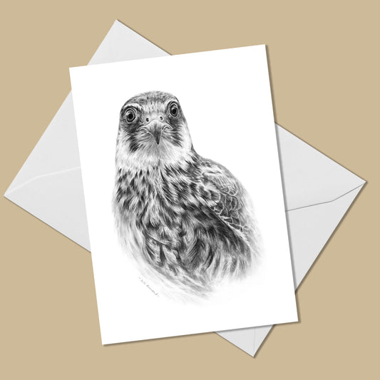 White greeting card with the image of a pencil drawing of a Eurasian hobby bird, on top of a white envelope 