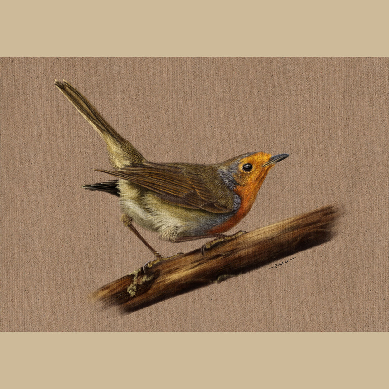 European Robin Art Prints (Erithacus Rubecula)