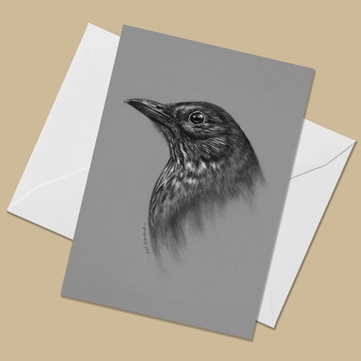 Female Eurasian Blackbird Greeting Card (Turdus Merula)