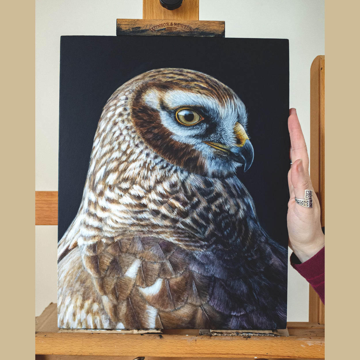 Painting of a hen harrier portrait on an easel with a hand next to it