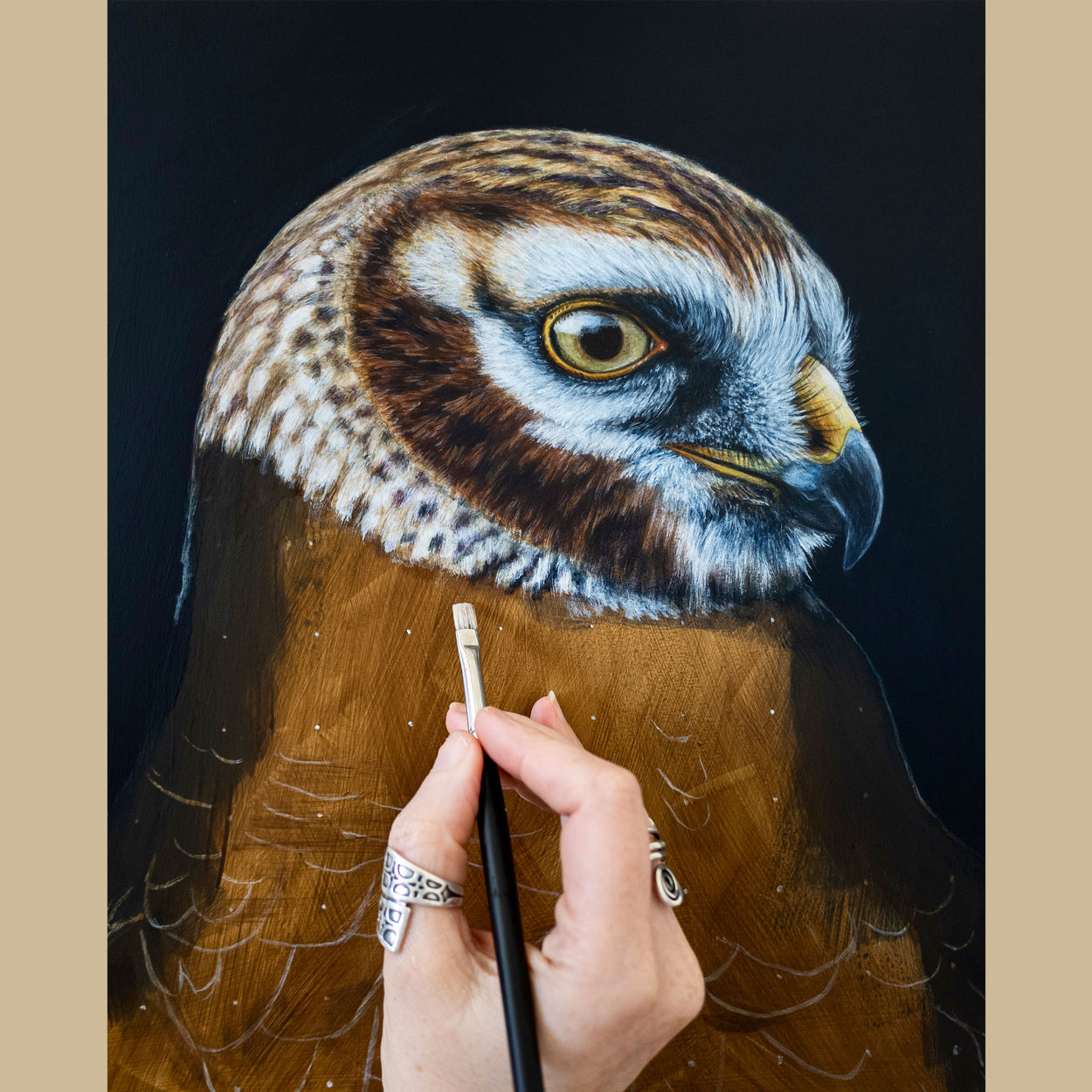 Painting in progress of a hen harrier with a hand holding a paint brush over it
