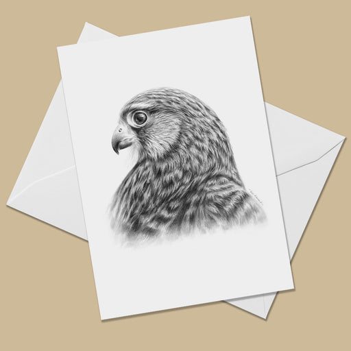 White greeting card with the image of a black and white drawing of a female common kestrel head and shoulders.  The card is on a white envelope.