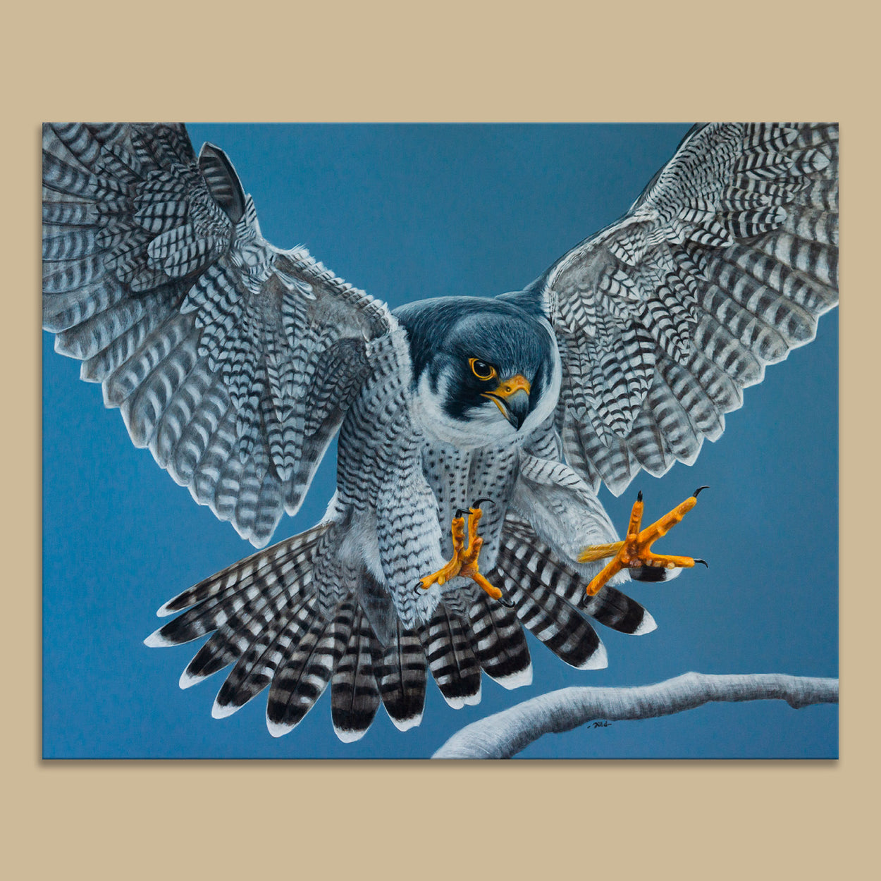Original acrylic painting of a peregrine falcon flying towards a branch
