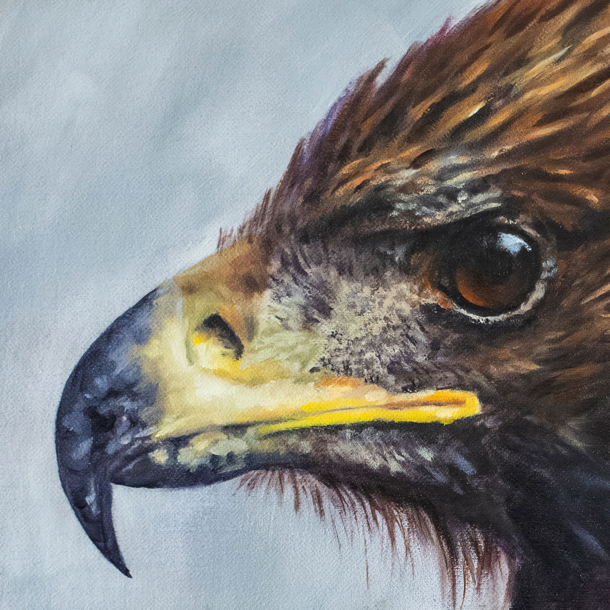 close-up of an oil painting of a golden eagle beak. head and eye facing to the left