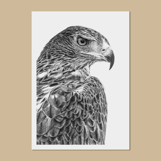 Black and white drawing of a golden eagle facing to the right