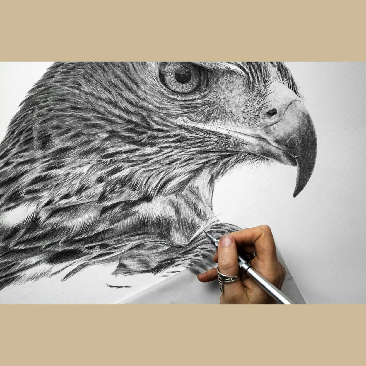 Hand holding pencil over an incomplete drawing of a golden eagle