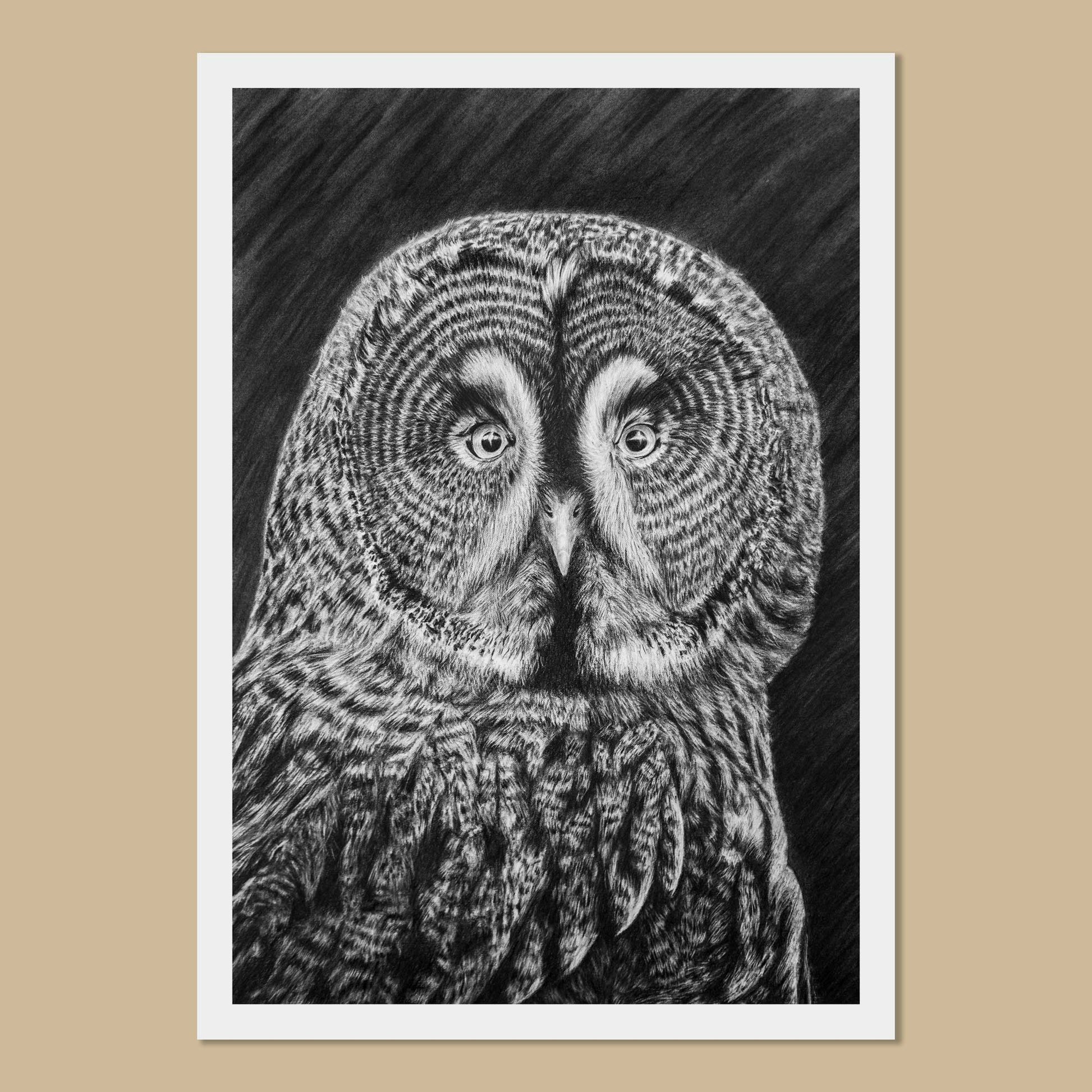 Black and white charcoal drawing of a great grey owl face and shoulders on a white paper print