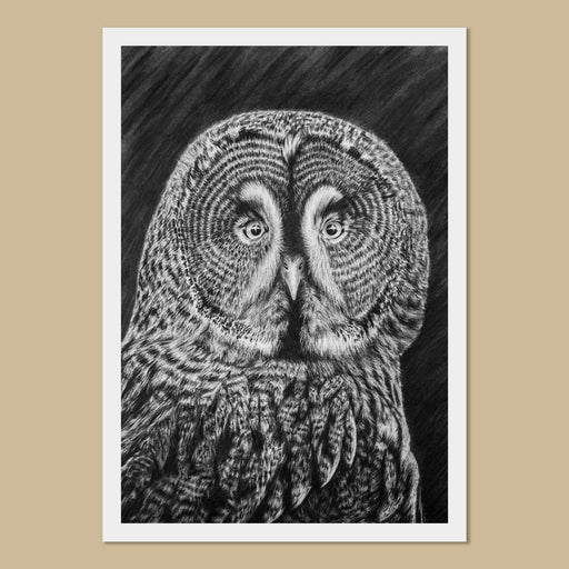 Black and white charcoal drawing of a great grey owl face and shoulders on a white paper print