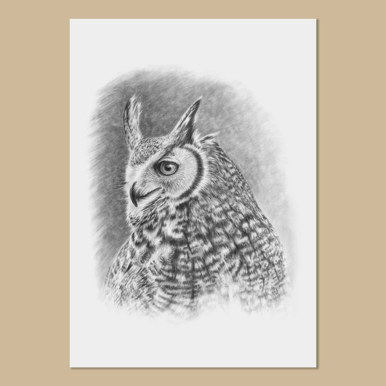 Black and white drawing of a great horned owl facing to the left