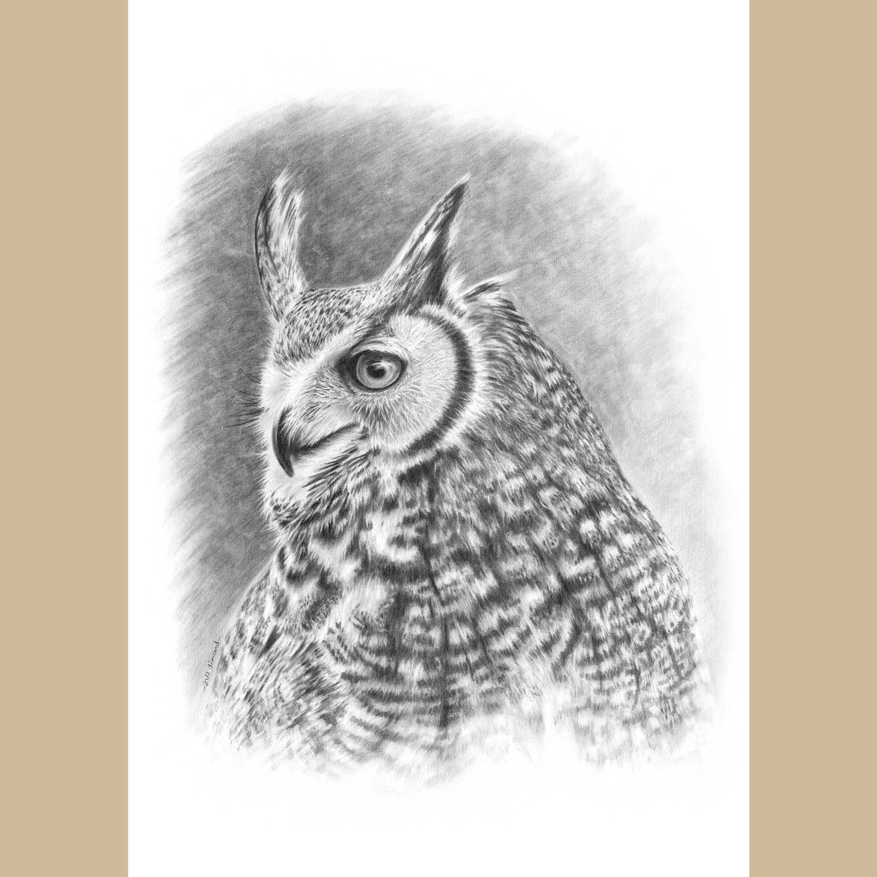 Black and white drawing of a great horned owl looking to the left