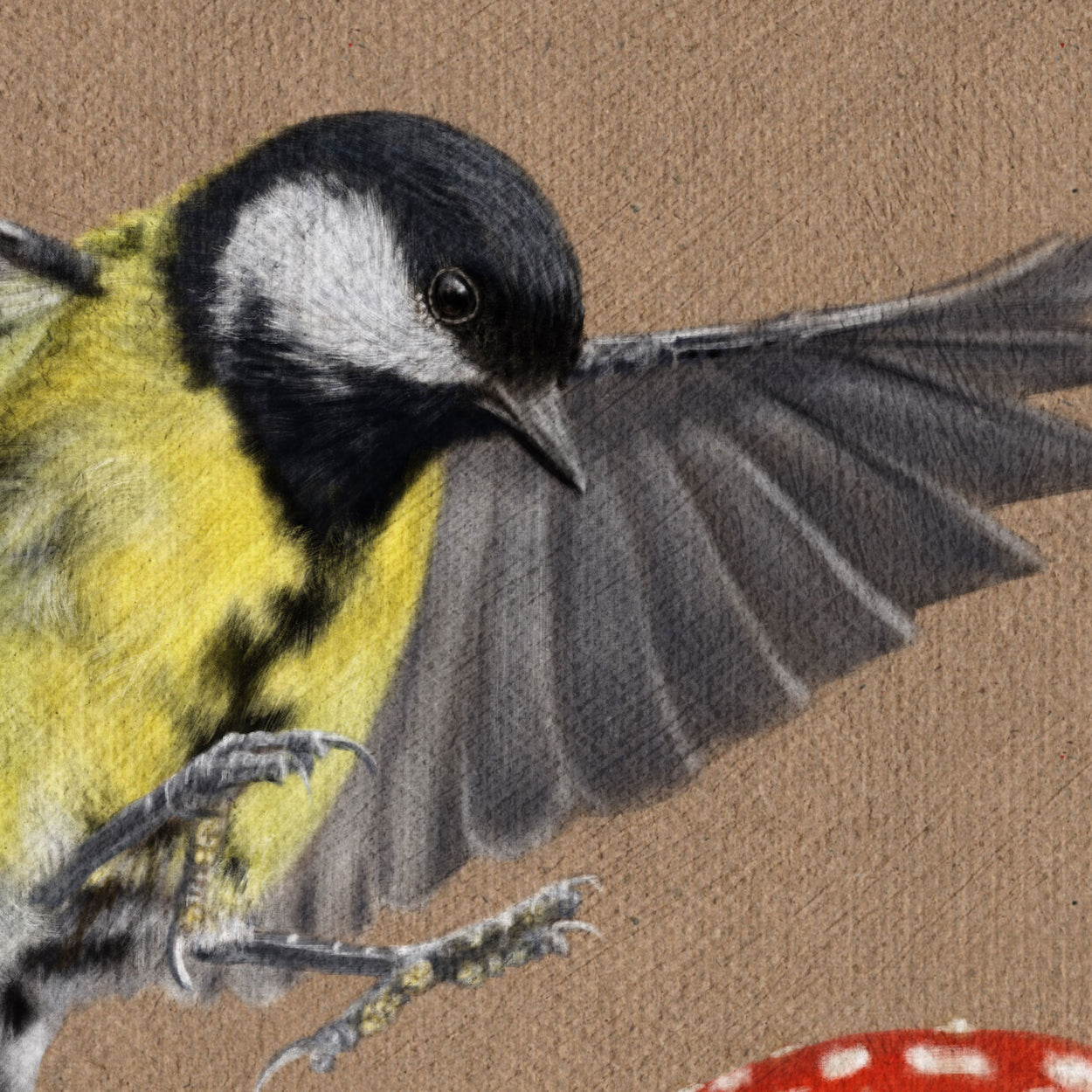 Flying Great Tit Art Prints (Parus Major)