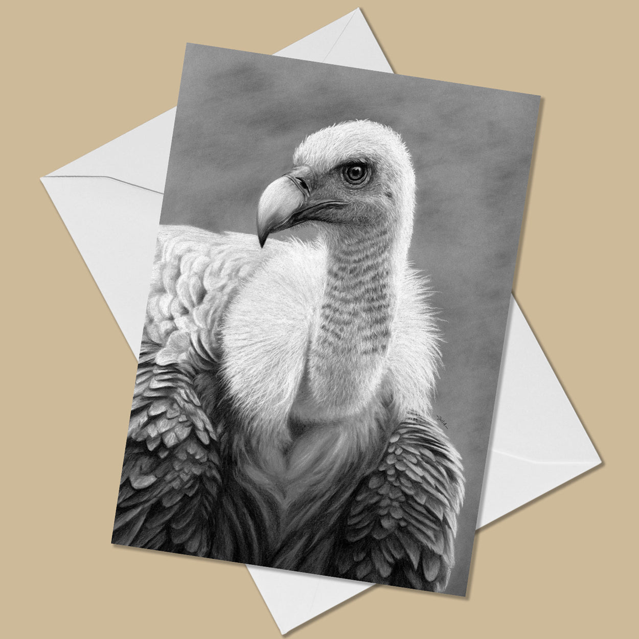 Greeting card with the image of a griffon vulture looking off to the left.  The card is on a white envelope